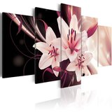  Slika - Beauty Mystery 200x100 Cijene