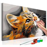 Slika za samostalno slikanje - Red Cat 60x40 | shoptok.hr