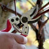 Falket Makaze za orezivanje vinove loze 2112 | ePonuda.com