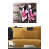 Wallity MDF1016630 multicolor decorative mdf painting (3 pieces) Cene