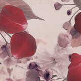  Umjetničke slike First LOVE / Tom Loris 019K1 (umjetničke) | shoptok.hr