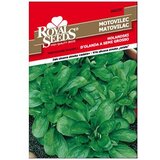 Matovilac Holandski Royal Seeds Cijene