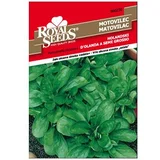 Matovilac Holandski Royal Seeds