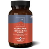 TERRA NOVA glukozamin boswelia i msm, 50 cps Cene