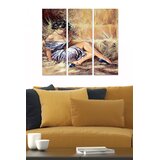 Wallity MDF14543050 Multicolor Decorative MDF Painting (3 Pieces) | Eponuda.ba