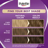PALETTE ICC N5 Tamno plava farba za kosu | ePonuda.com