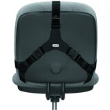 Fellowes Podpora za hrbet Professional Series™ Ultimate | Shoptok.si