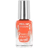 Barry M Wildlife Nail Paint - Coral Reef