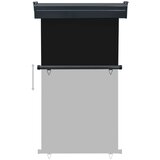 vidaXL Balkonska bočna tenda 100 x 250 cm crna | shoptok.hr