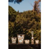 Baobab Collection Tomorrowland dišeča sveča 10 cm | Shoptok.si