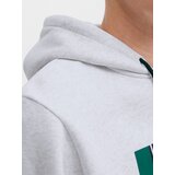 Jack & Jones Sweater majica 'JJHAYATO' tamno plava / tamno zelena / bijela melange | shoptok.hr
