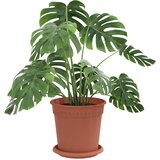  Saksije za biljke 24 pcs Crvena cigla Ø 17 x 14 cm Plastika | shoptok.hr