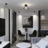  Brilagi - LED prislonski luster CERIA WIRE 1xE27/40W/230V, prečnik 21 cm, crne boje | Eponuda.com