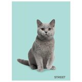 STREET Zvezek Friends A5 črte z robom | Shoptok.si