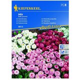 KIEPENKERL Profi-Line Cvetlična semena Navadna marjetica mix (Bellis perennis, Različne barve) | Shoptok.si