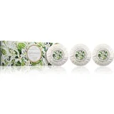 Jasmine Set set trdih mil