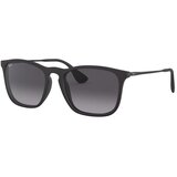 Ray-ban Muške Sunčane naočale Ray Ban RB4187 Black | shoptok.hr