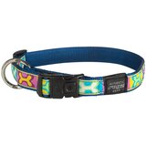 Rogz fancy dress ogrlica za pse sa dezenom xl — 43–70 cm pop art | Eponuda.com