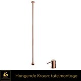 Kranig Kraanwerk Viseči žerjav | Stropna pipa | Kontrole na pohištvu | Dolg padec, (21731973) | Shoptok.si