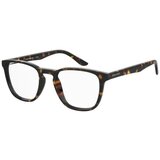 Seventh Street S352 086 ONE SIZE (48) Havana/Kristalna | Shoptok.si