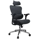 Ergonomic Premium Office Chair with Headrest and Armrests, Blue Black