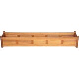 Posuda za Sadnju Drvo Bagrema 150x30x25 cm | shoptok.hr