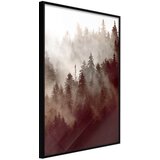  Poster - Forest Fog 30x45 Cijene