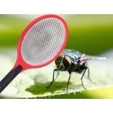  Električni reket za uništavanje insekata 51 cm | shoptok.hr