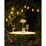 House Nordic LED svetlobna veriga število žarnic 10 ks na baterije dolžina 180 cm Carlisle – | Shoptok.si