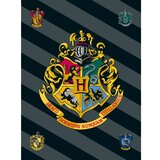 Jerry Fabrics Otro&scaron;ka odeja iz flisa 100x150 cm Harry Potter &ndash; cene