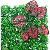  Ograda od umjetnih biljaka 6 kom zelena 40 x 60 cm | Eponuda.com