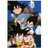 Dragon Ball NOV UVOZ Odeja iz flisa Dragon Ball 100 x 140 cm, 018DBS-PL, (20855087) Cene