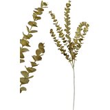 Mondex Umetna vejica evkaliptusa plastika VIRIDIS AW25 80 cm zelena 1 kos, (5000226007) Cene