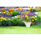  Škropilnica Keira 2L - naravna barva | Shoptok.si