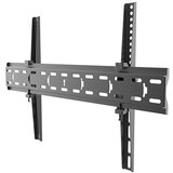 Xstand nosač za tv alpha tilt 37-70 | ePonuda.com