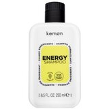 Kemon Energy Shampoo učvršćujući šampon protiv opadanja kose 250 ml Cijene