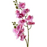Mondex umetna roža plastika Viridis Storczyk 65cm 1kos, (5000305461) Cene