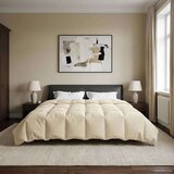  Zimska posteljnina Šonerisan krema 200 x 220 cm Mikrovlakna, (5000284507) | Shoptok.si