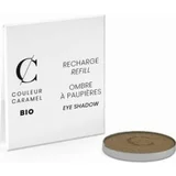 Couleur Caramel Refill Eyeshadow Pearly - 107 Banana Leaves