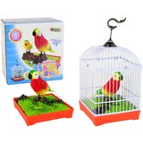  Pojoča pisana papiga s kletko | Shoptok.si