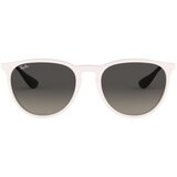 Ray-ban erika naočare za sunce rb 4171 6314/11 | ePonuda.com