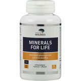 American Biologics Minerals for life Cene