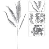  GRANA TROPICAL CHAMPAGNE | Eponuda.ba