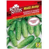 Krastavac Kornišon Maxi Royal Seeds | Eponuda.ba