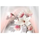  Tapeta - White magnolias 350x245 | shoptok.hr