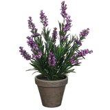  Umjetna biljka Lavanda (Visina: 33 cm, Ljubičasta, Plastika) Cijene