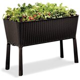 Keter Tegla za cvijeće Easy Grow – Cijene