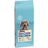 Dog_Chow PURINA Puppy Large Breed s puretinom - 14 kg | shoptok.hr