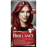 Schwarzkopf Brillance barva za lase - Intensive Color Cream - 842 Cashmere Red