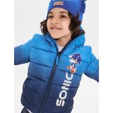 Sinsay Pamučna puffer jakna s kapuljačom i reflektirajućim detaljima Sonic the Hedgehog | shoptok.hr
